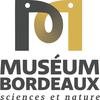 Museum de Bordeaux (nouvelle fenêtre)
